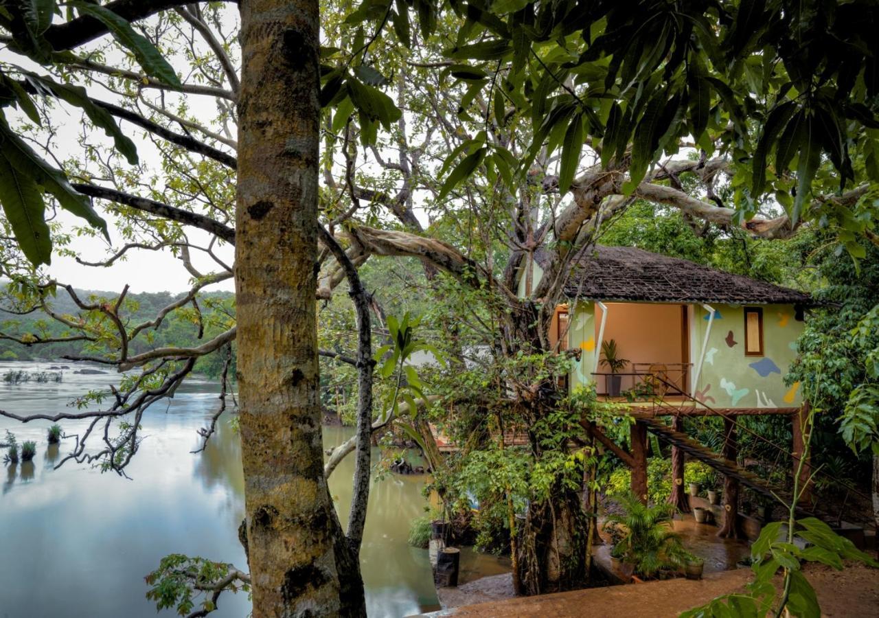 Whistling Woodzs Resort Dandeli Kültér fotó