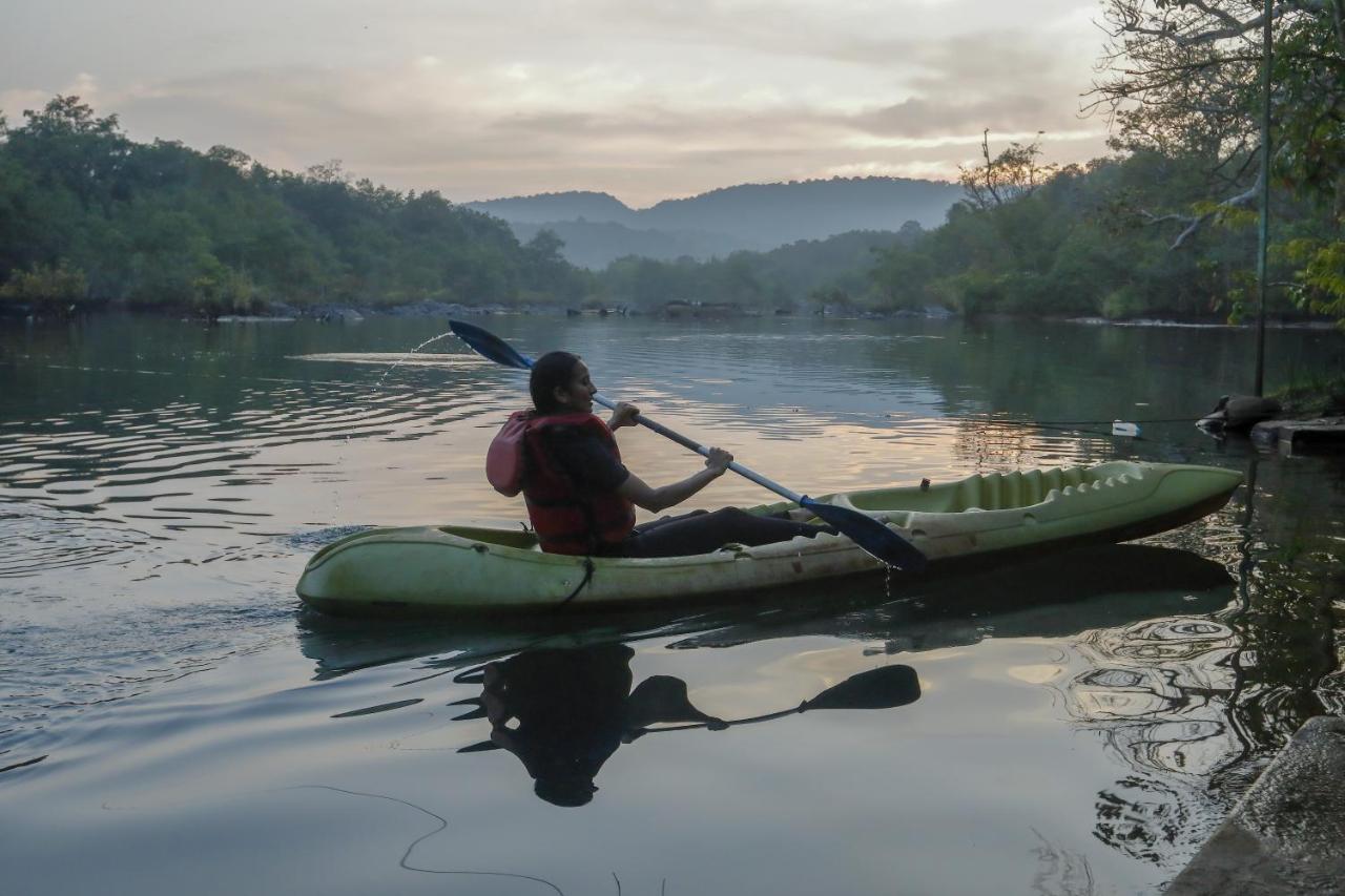 Whistling Woodzs Resort Dandeli Kültér fotó